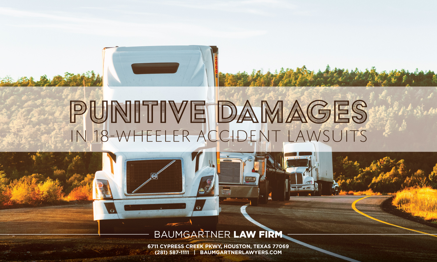 attorney for punitive damages