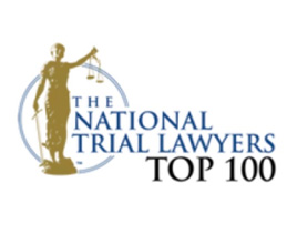 The National Trial Lawyer